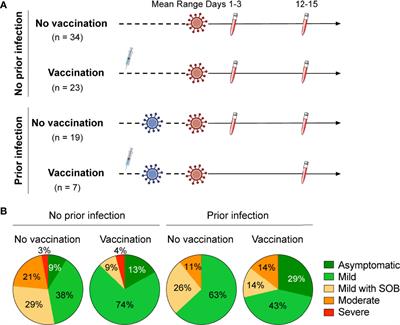 Prior Vaccination Exceeds Prior Infection in Eliciting Innate and Humoral Immune Responses in Omicron Infected Outpatients